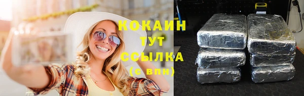 сатива Абаза