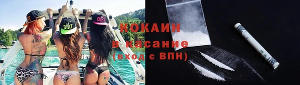 сатива Абаза