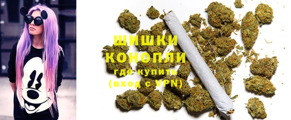 сатива Абаза