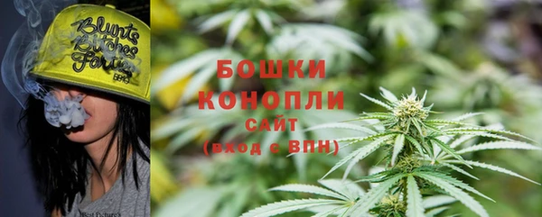 сатива Абаза