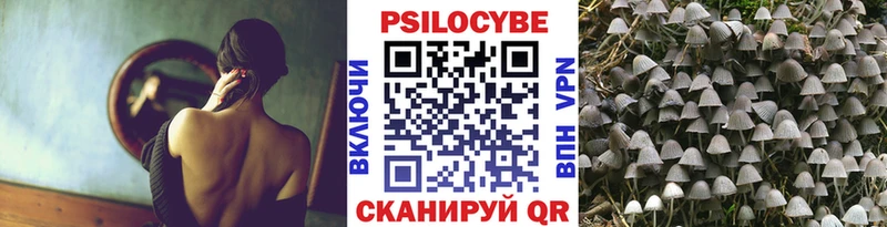 Псилоцибиновые грибы MAGIC MUSHROOMS  гидра tor  Нефтеюганск  продажа наркотиков 
